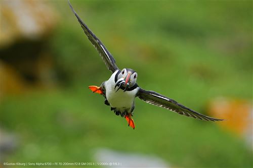 Appareil photo hybride Sony Alpha 6700 Noir – Image 8