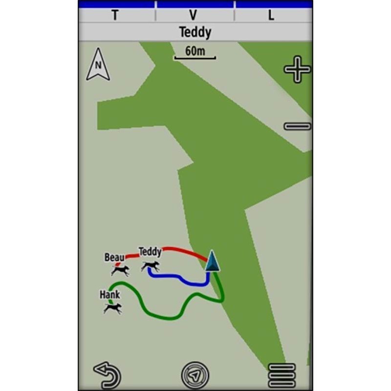 Pack Garmin Télécommande Alpha 200 Plus F Avec Collier De Repérage T20 F – Image 6